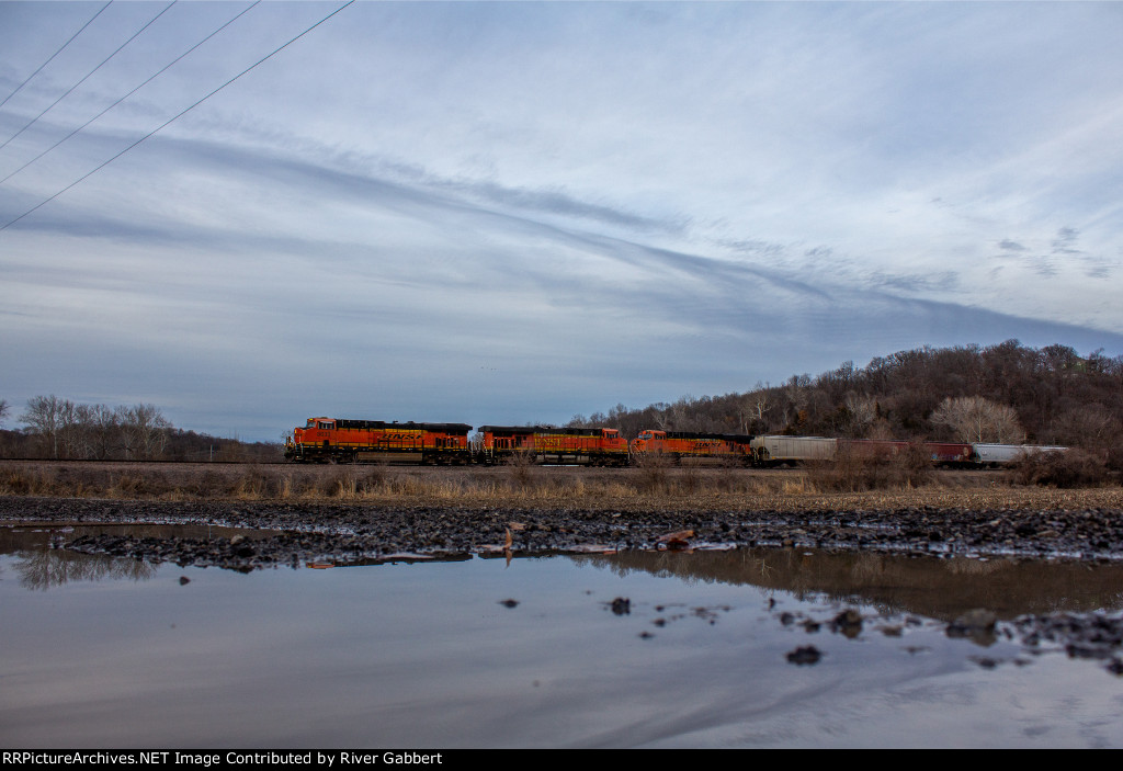 Reflections at Rose